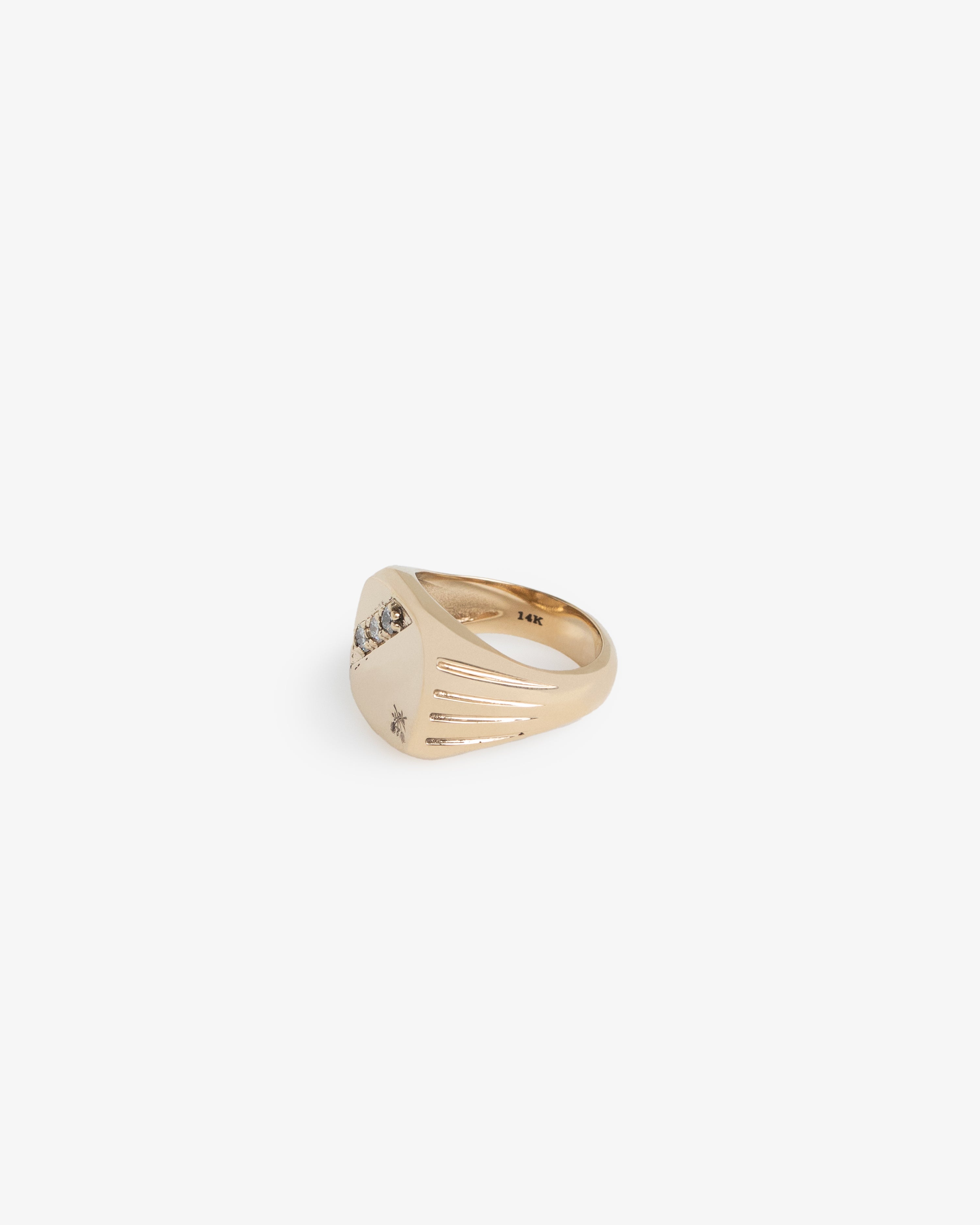 14Kt Gold Diamond Signet Ring