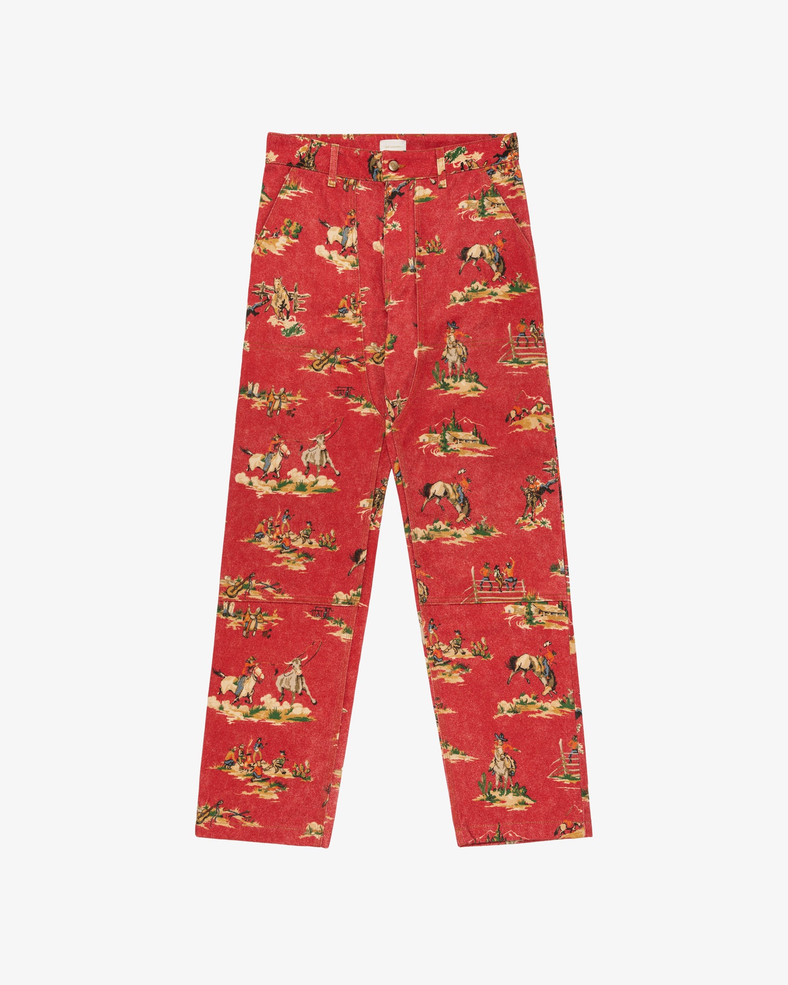 Printed Western Carpenter Pant